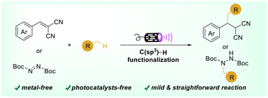 Graphical abstract: Photo-induced C(sp3)–H functionalization of unactivated alkanes under transition-metal- and photocatalyst-free conditions