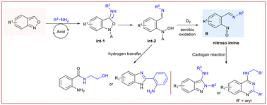 Graphical abstract: Skeletal editing of anthranils for chemodivergent synthesis