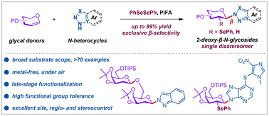 Graphical abstract: Metal-free synthesis of diverse 2-deoxy-β-N-glycosides through regio- and stereospecific aminoselenenylation of glycals