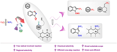Graphical abstract: Visible-light-driven TTST enables divergent synthesis of trifluoromethylated and trifluoromethylthiolated products through chemo- and regioselectivity