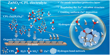 Graphical abstract: Intrinsic dual active sites synchronously regulate the solvation structure and interface to boost a highly stable Zn anode