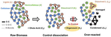 Graphical abstract: Novel control of fractionation–depolymerization for rapid dissociation of lignin-associated xylan: toward complete lignocellulosic biomass valorization in lignin-first biorefinery