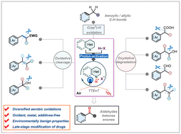 Graphical abstract: Photoinduced and proton-activated N-heteroarene-catalyzed dioxygen activation for benzylic and allylic oxidation