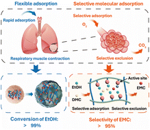 Graphical abstract: A bioinspired heterogeneous catalyst for green and targeted transesterification of ethanol and dimethyl carbonate to ethyl methyl carbonate with high endurance