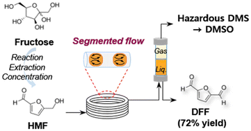 Graphical abstract: Scalable synthesis of 2,5-diformylfuran in single-phase continuous flow and segmented flow