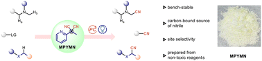 Graphical abstract: 2-Methyl-2-(pyridin-2-yl)malononitrile: a site-selective cyano transfer reagent for photocatalytic cyanation reactions