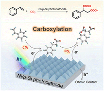 Graphical abstract: Photoelectrochemical dicarboxylation of styrene with CO2 to phenylsuccinic acid on a Ni-decorated silicon photocathode