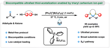 Graphical abstract: Biocompatible ultrafast thiol-acetalization enabled by triaryl carbenium ion-pair
