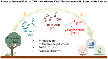 Graphical abstract: Membrane-free one-pot cascaded electrocatalytic redox of furfural into gamma-butyrolactone