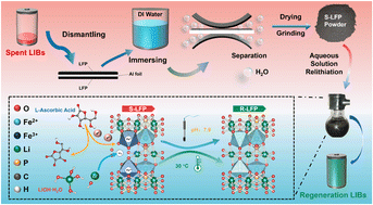 Graphical abstract: A green chemical protocol for the separation of spent LiFePO4 cathode material from Al foil and regeneration