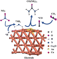 Graphical abstract: Porous core–shell CuAu@Cu2O catalyst for acidic C–N coupling toward urea electrosynthesis from CO2 and nitrate