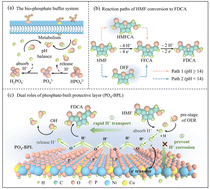 Graphical abstract: Rapid proton transport through a bio-inspired PO4-built protective layer for stabilizing 5-hydroxymethylfurfural conversion at high current densities