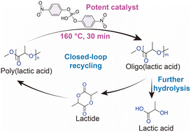 Graphical abstract: Phosphate ester-based organocatalyst with strong electron-withdrawing substituents for efficient chemical recycling of poly(lactic acid)