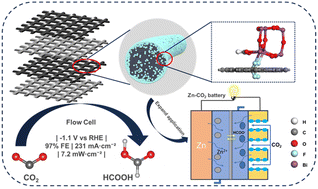 Graphical abstract: A powerful three-dimensional C–F–Bi cathode for Zn–CO2 batteries
