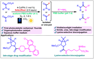 Graphical abstract: A visible-light-mediated decarboxylative umpolung strategy to access carbamoyl/acyl fluorides in a buffer medium: expedient access to unsymmetrical ureas/amides and lysine-selective bioconjugation