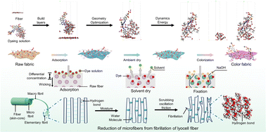 Graphical abstract: Integration of color construction and fibrillation reduction of lyocell in an ambient temperature environment