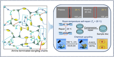 Graphical abstract: Mechanically robust thermosets featuring room-temperature repairability and chemical upcyclability