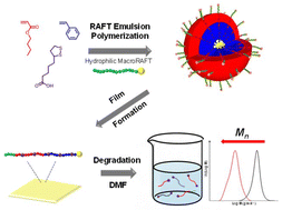 Graphical abstract: Degradable polymer films: RAFT-mediated emulsion copolymerization of lipoic acid with vinyl monomers