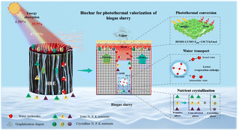 Graphical abstract: Graphitization-engineered biochar for solar-driven nutrient recovery and sustainable biogas slurry valorization