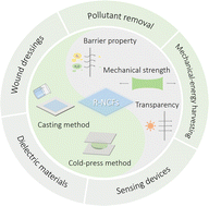 Graphical abstract: Converting native chitin into regenerative films: fabrication, properties, and applications