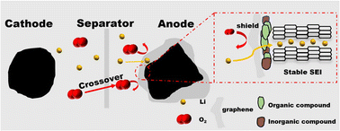 Graphical abstract: Graphene shields enabling oxygen-durable graphite anode in high-energy lithium-ion batteries