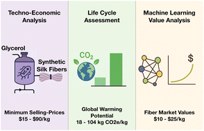Graphical abstract: Lifecycle cost, environmental, and machine-learning value assessment for synthetic spider silk production from E. coli