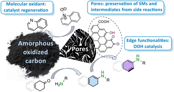 Graphical abstract: Cascade synthesis of diarylamines catalyzed by oxygen-rich and porous carbon