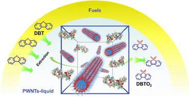 Graphical abstract: A porous liquid constructed from single-walled polyoxometalate nanotubes for sustainable extractive–oxidative desulfurization
