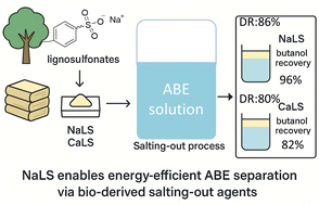 Graphical abstract: Renewable lignosulfonate salts drive green and efficient acetone, n-butanol, and ethanol (ABE) separation