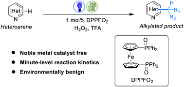 Graphical abstract: Minute-level alkylation of heteroarenes via a photo-Fenton mechanism in continuous flow