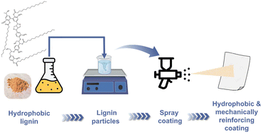 Graphical abstract: Hydrophobic and mechanically reinforcing coatings from palmitoylated lignin via waterborne spraying