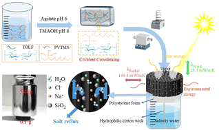 Graphical abstract: Anisotropic silicon-modified loofah carbon aerogels for synergistic solar-environmental energy harvesting in interfacial evaporation