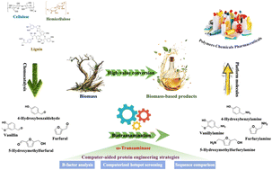 Graphical abstract: Exploring the robust engineered ω-transaminase for manufacturing biobased amines from biomass-derived aldehydes