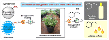 Graphical abstract: Electrochemical deoxygenation: a green tool for functional molecule diversification – challenges and opportunities