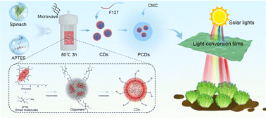 Graphical abstract: Low-temperature synthesis of red carbon dots with precise spectral conversion via a microwave–solvothermal method and application in spectral conversion films