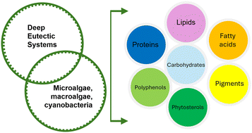 Graphical abstract: Can deep eutectic systems and algae deliver sustainable bioactives and nutrients? A systematic review