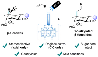 Graphical abstract: Editing sugars: decatungstate photocatalyzed site- and stereoselective C–H functionalization in β-fucosides