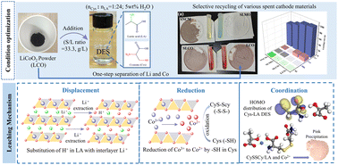 Graphical abstract: Synergistic acidolysis–reduction–precipitation strategy driven by natural solvents for direct recovery of transition metals from spent batteries