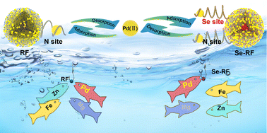 Graphical abstract: Bait-and-anchor strategy in dual N/Se-engineered resins for electrostatic-chelation cascade Pd(ii) recovery from extreme environments