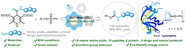 Graphical abstract: Photocatalytic carbamoylation to access thiocarbonyl amino acid/peptide derivatives in a sustainable solvent