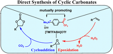 Graphical abstract: Direct synthesis of cyclic carbonates from olefins and CO2via ionic liquid catalysis with mutually promoting bifunctional groups