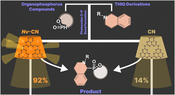 Graphical abstract: Sustainable photoredox C(sp3)–P bond formation via nitrogen-vacancy-engineered carbon nitride