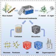 Graphical abstract: Cascading integration of genetically reduced cellulose nanofibers and ultrasound-dissected fungi mycelium for the synergistic enhancement of cellulases and saccharification with high-value bioproducts