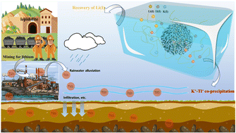 Graphical abstract: Mechanochemically activating lepidolite to allow easier lithium extraction and safer thallium handling through alunite formation