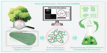 Graphical abstract: Molecular simulation in cellulose dissolution: mechanisms, green solvent design, and future directions