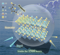 Graphical abstract: Seawater-assisted biomass upgrading with stable catalytic activity for 1500 hours