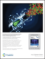 Graphical abstract: Back cover