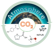 Graphical abstract: Alternative sources of carbon for moving towards a sustainable carbon cycle