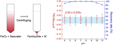 Graphical abstract: Precise determination of stable W isotopic compositions of seawater with Fe co-precipitation and double spike MC-ICP-MS