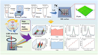 Graphical abstract: Synergistic integration of centrifugal ultrafiltration and superhydrophilic substrates for enhanced sensitivity and stability in laser-induced breakdown spectroscopy